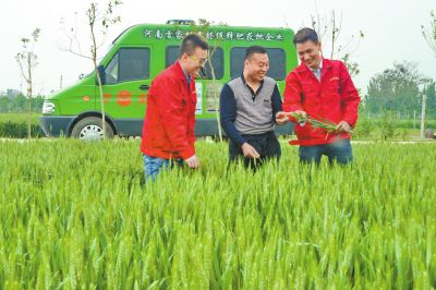 万庄化肥定制化出产让经销商表演新角色