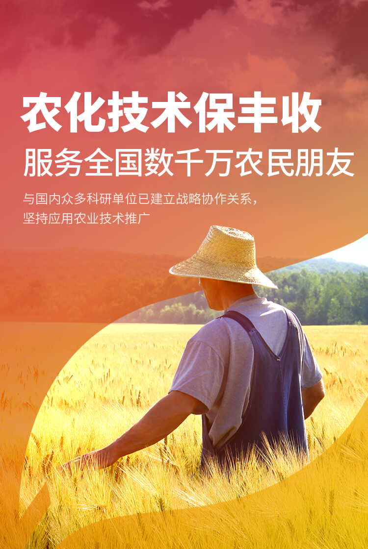玛雅吧官网